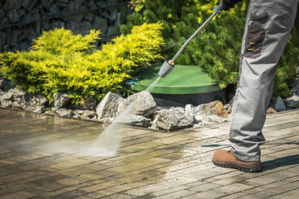 Best Rust and Stain Removal in Carrizo Hill, TX