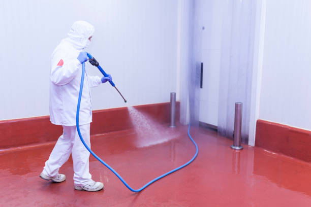Best Concrete Surface Cleaning in Carrizo Hill, TX