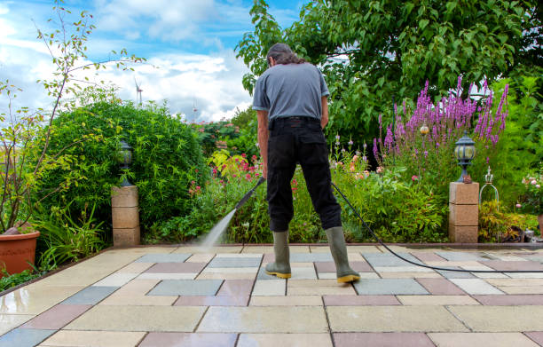 Professional Pressure Washing Services in Carrizo Hill, TX