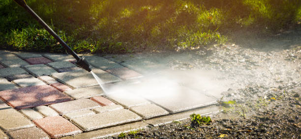 Best Residential Pressure Washing in Carrizo Hill, TX