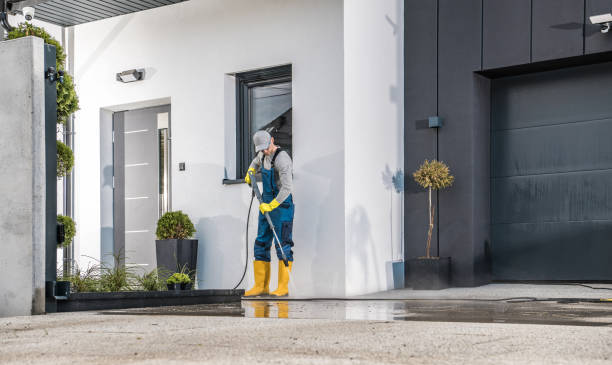 Best Window and Screen Pressure Cleaning in Carrizo Hill, TX